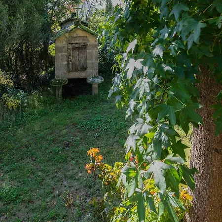 Tatil Evi Treehouse In Galicia Near Silgar Sanxenxo